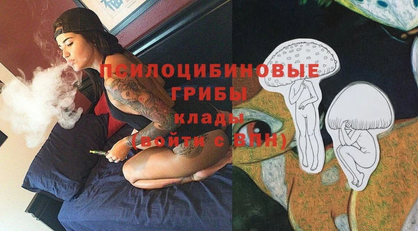 твердый Михайловка